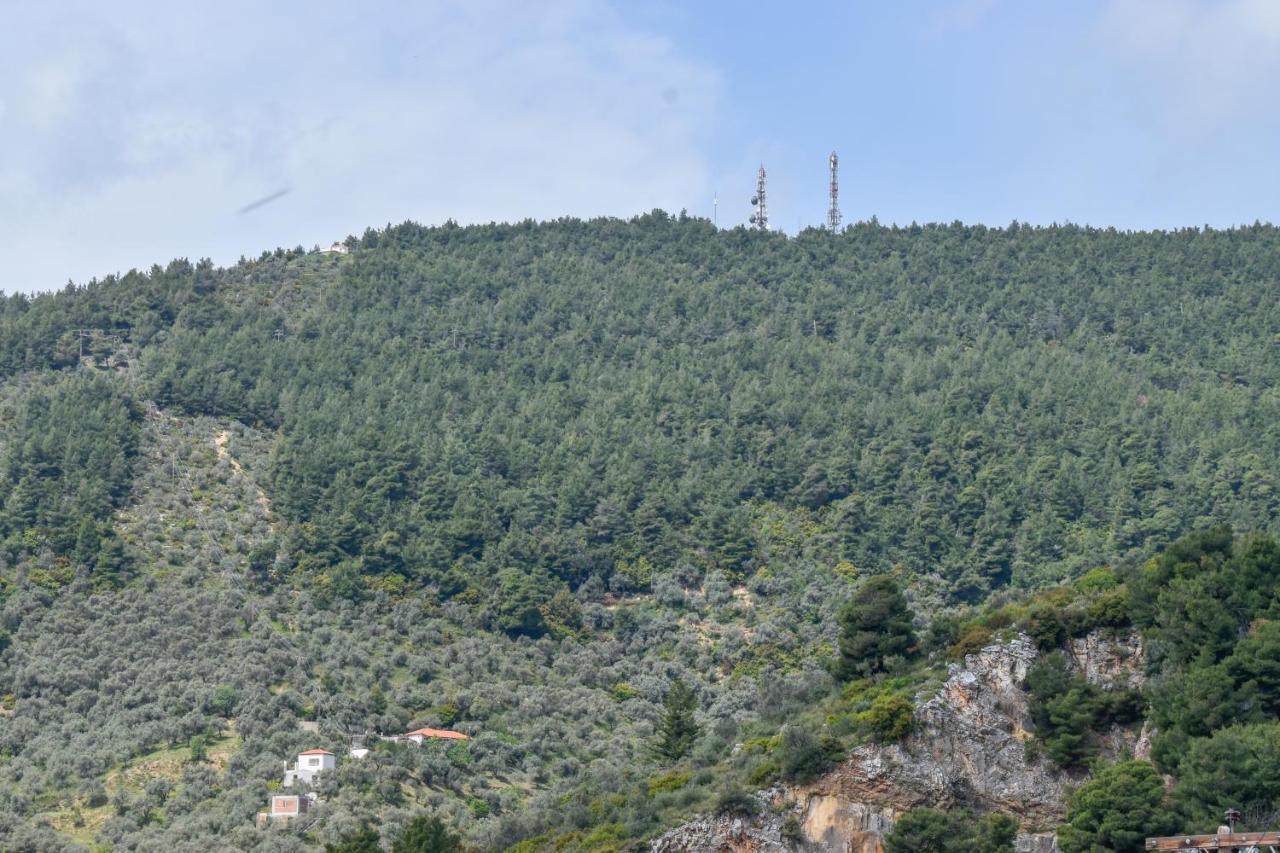 Zoe'S Flat Megali Ammos Lägenhet Skiathos stad Exteriör bild